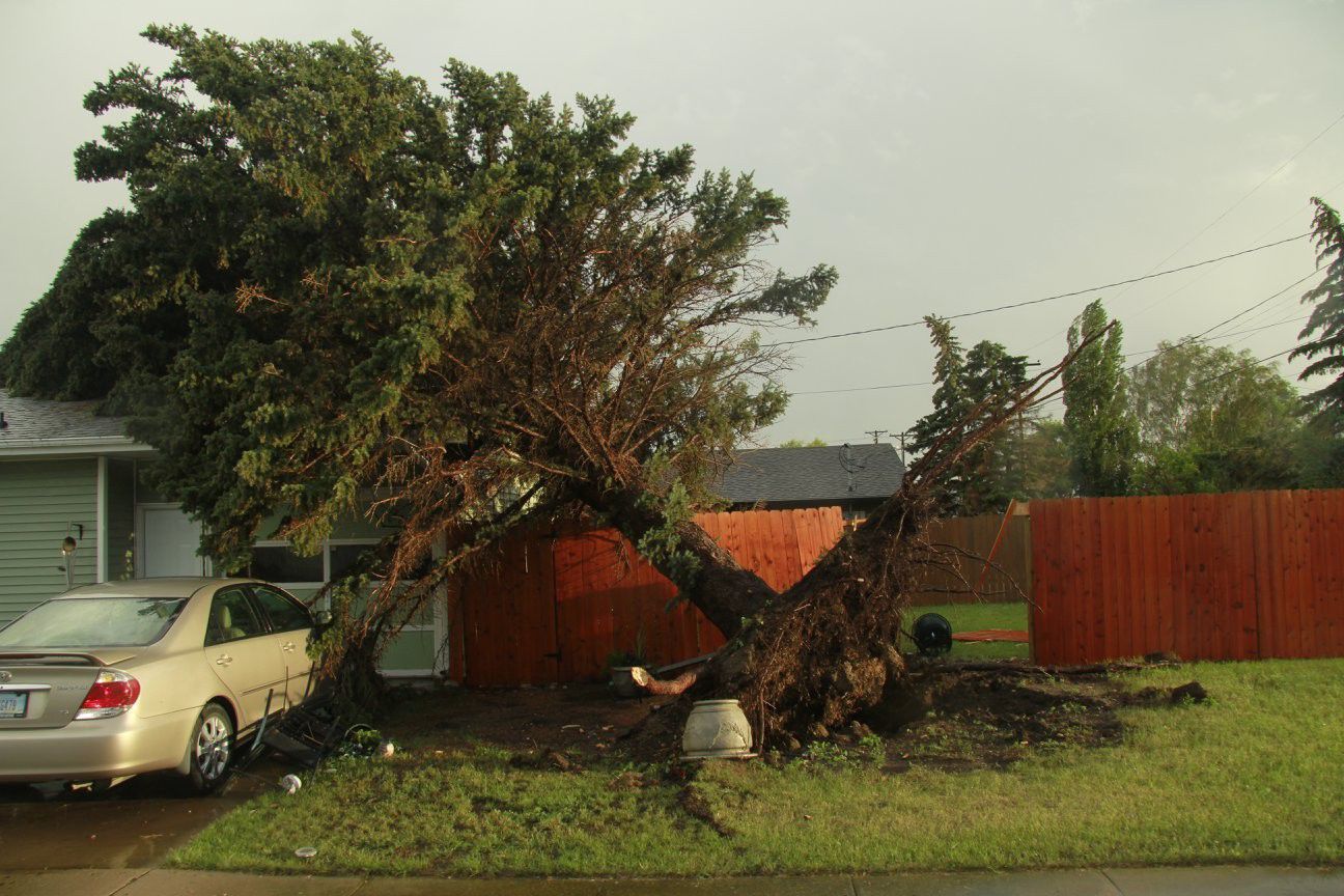 Plentywood storm